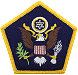 PentagonUnitPatch