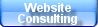 Web Consulting